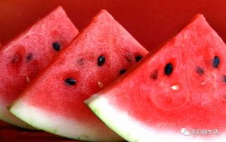 洛阳微头条西瓜,夏日味蕾盛宴来袭